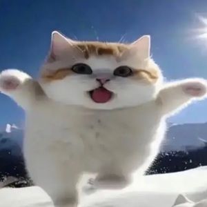 Meet your Posher, Ansel